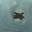 Small image 7