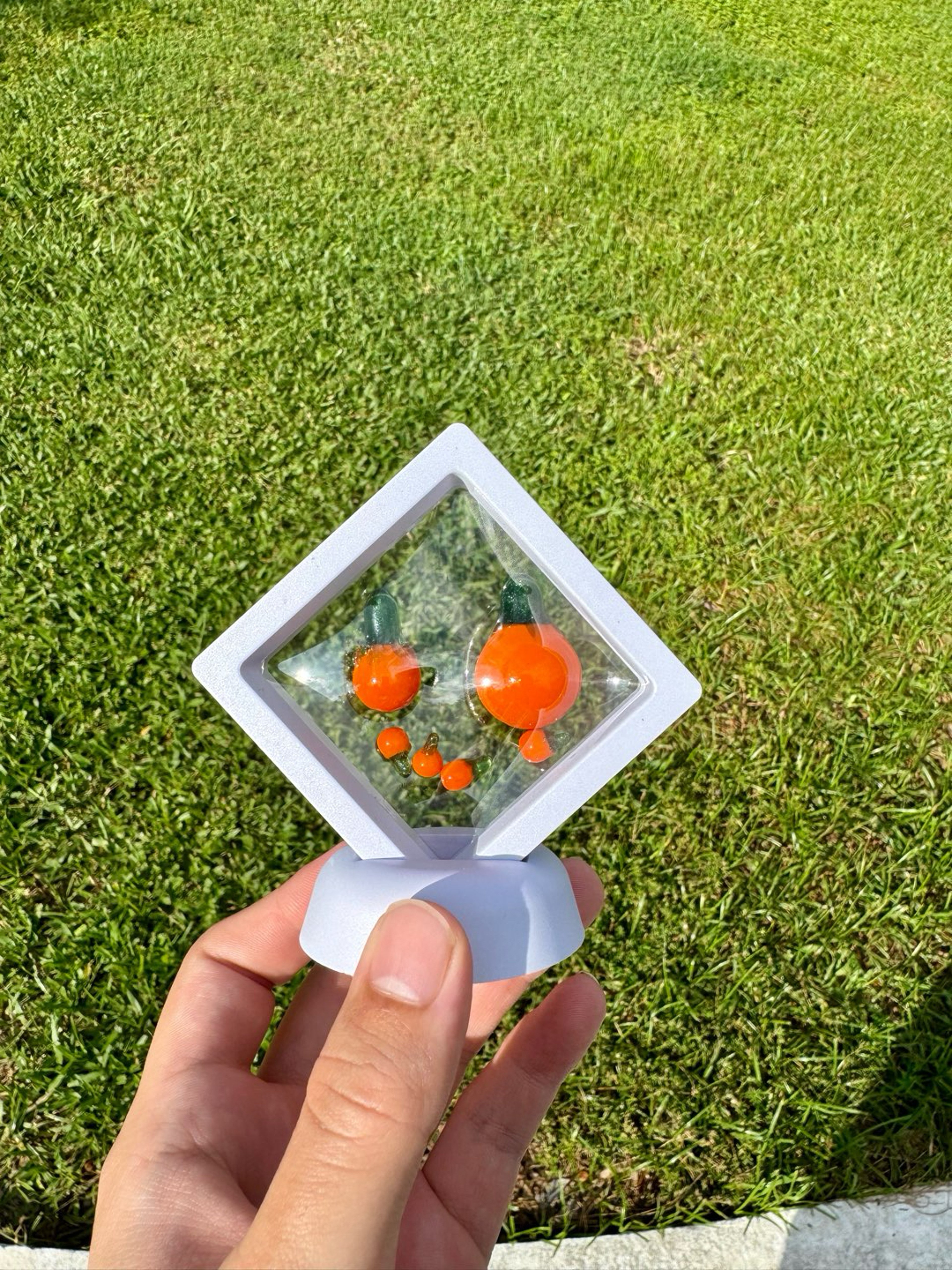 Preview pic of Pumpkin Patch Slurper Set