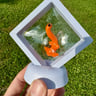 Small image 0