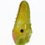 Small image 6