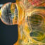 Small image 6