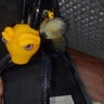 Small image 0