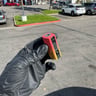 Small image 1