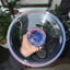 Small image 7