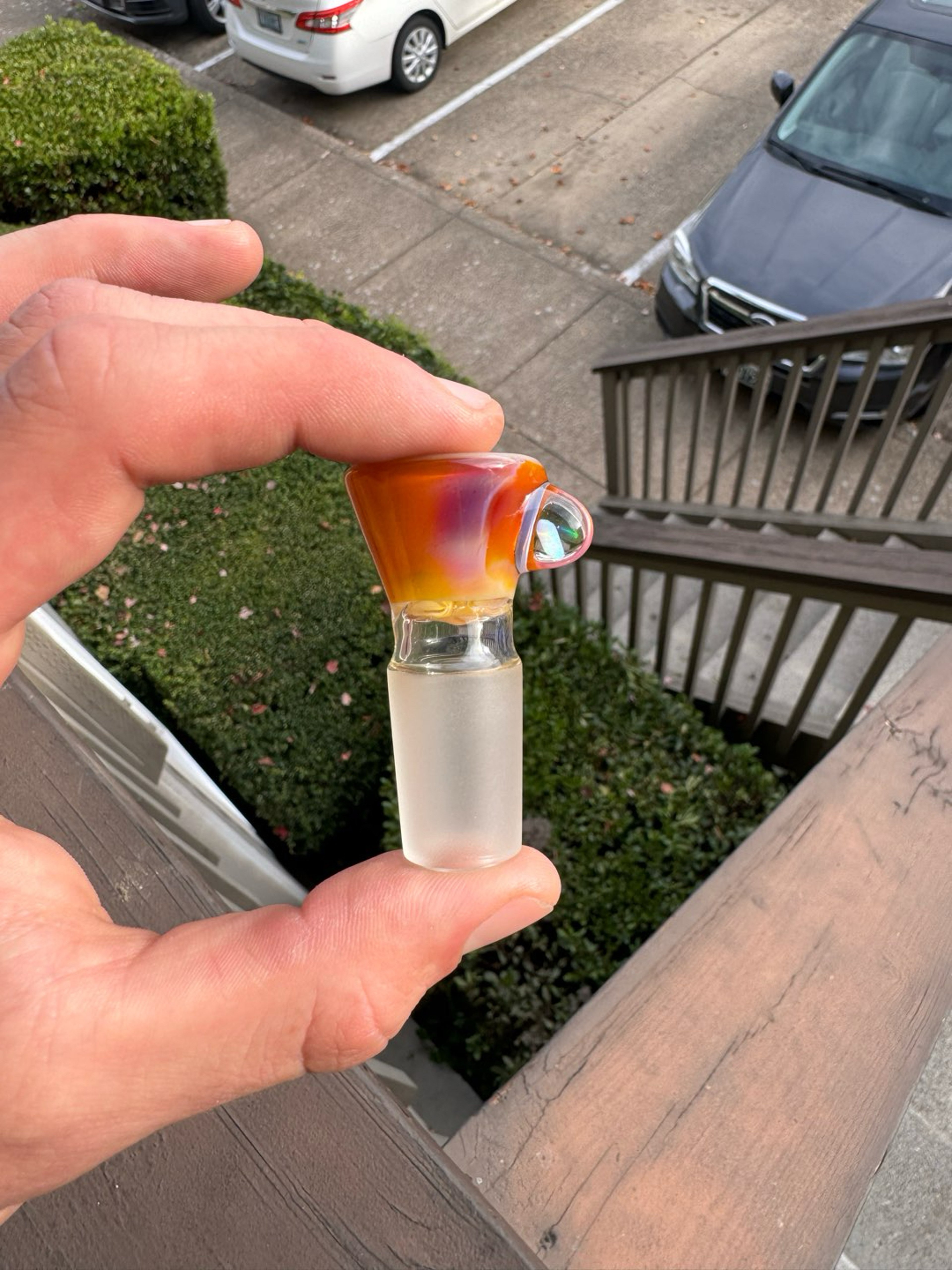 Preview pic of Serendipity NewSchoolGlass hornless FA slide
