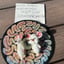 Small image 7