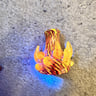 Small image 4