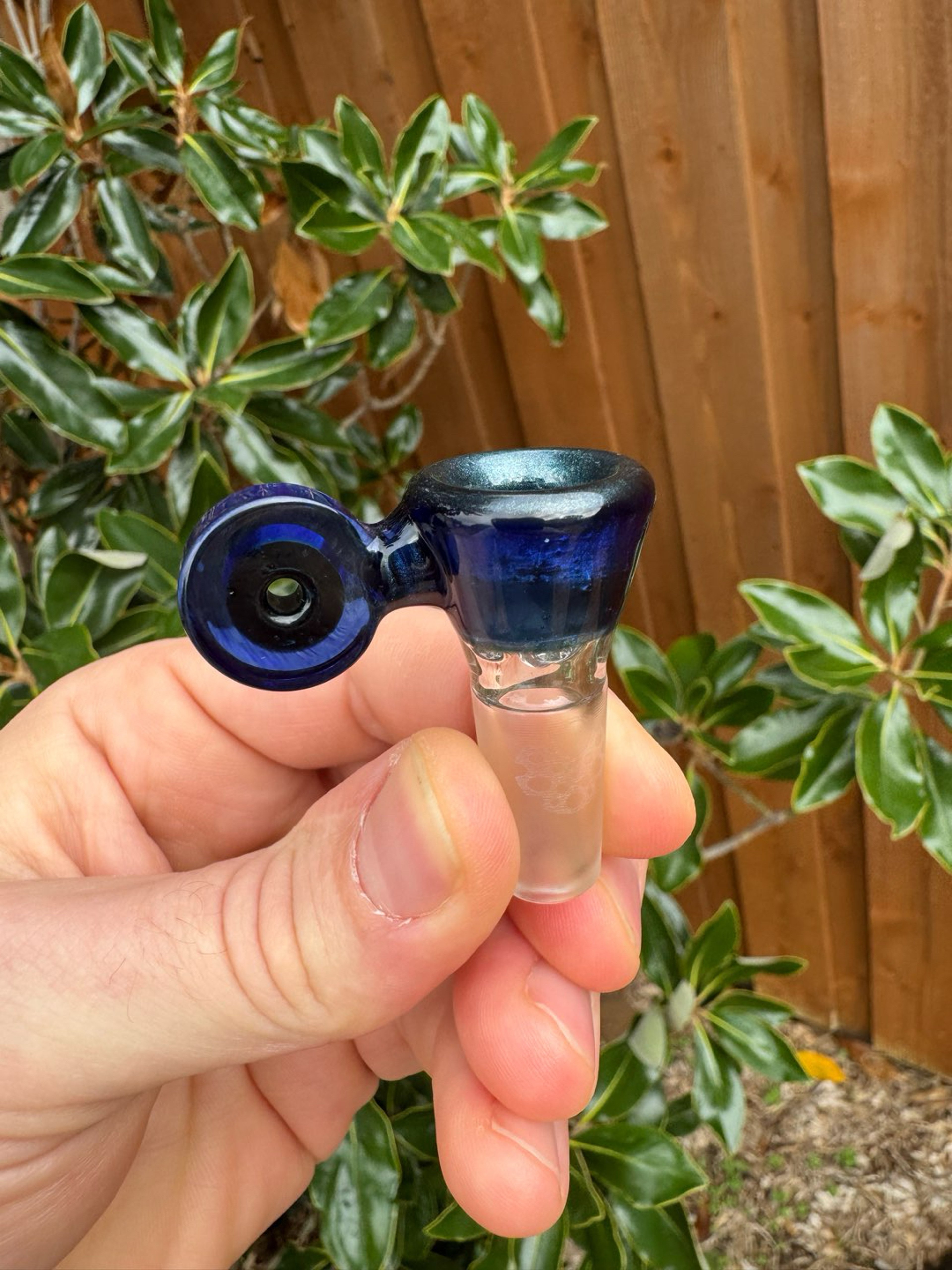 Preview pic of Electric Blue Velvet Swiss Perc Studios Doughnut