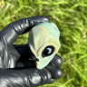 Small image 1