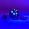 Small image 1