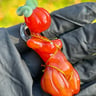 Small image 4