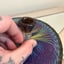 Small image 8