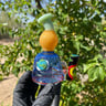 Small image 1