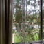 Small image 7