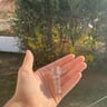 Small image 4