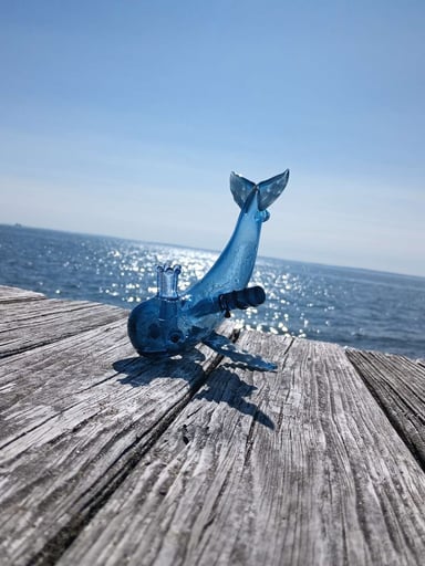 Preview pic of Chadd Lacy Moby Dick