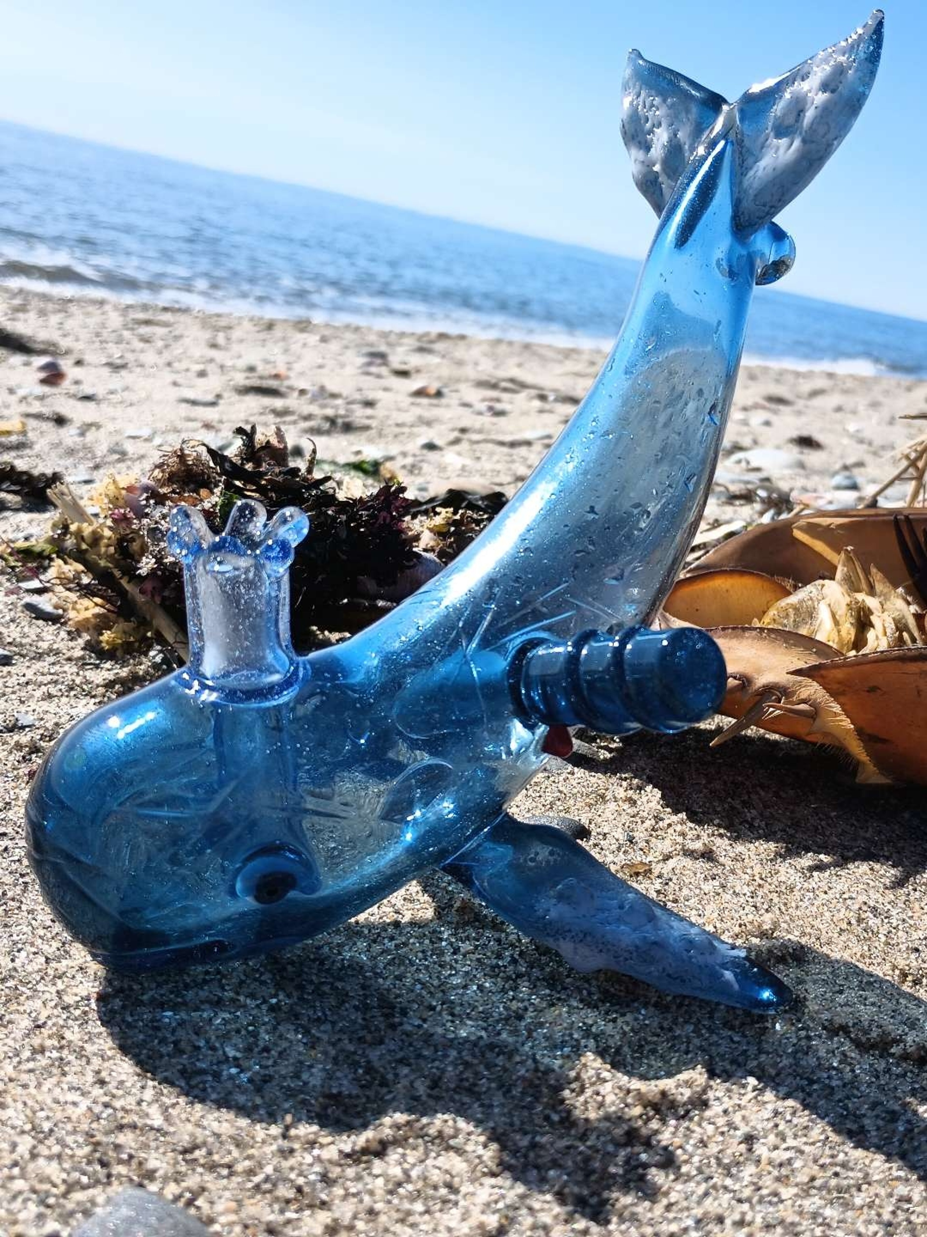 Preview pic of Chadd Lacy Moby Dick
