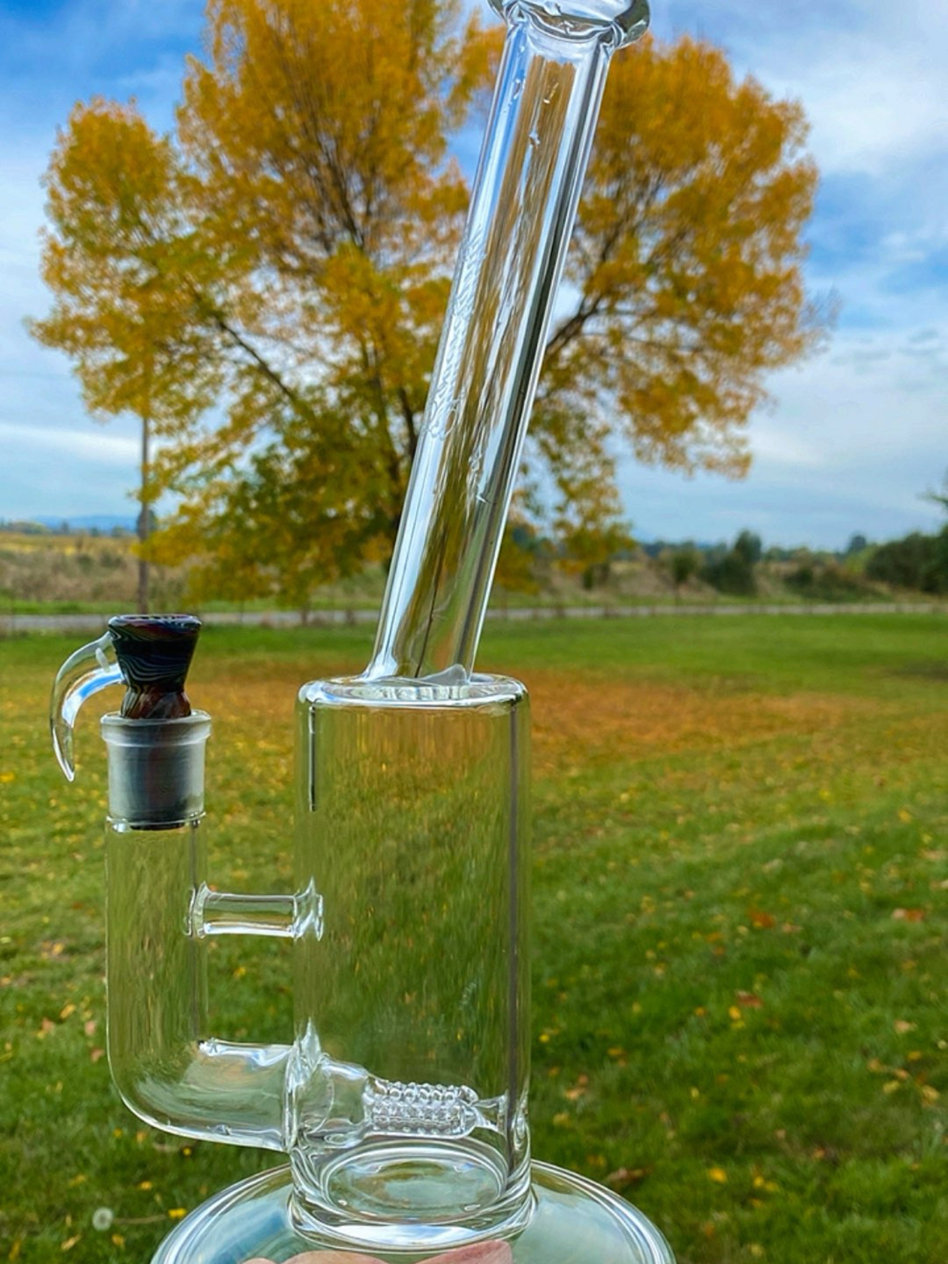 Preview pic of Sovereignty Gline Bent Neck