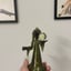 Small image 6