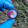 Small image 0