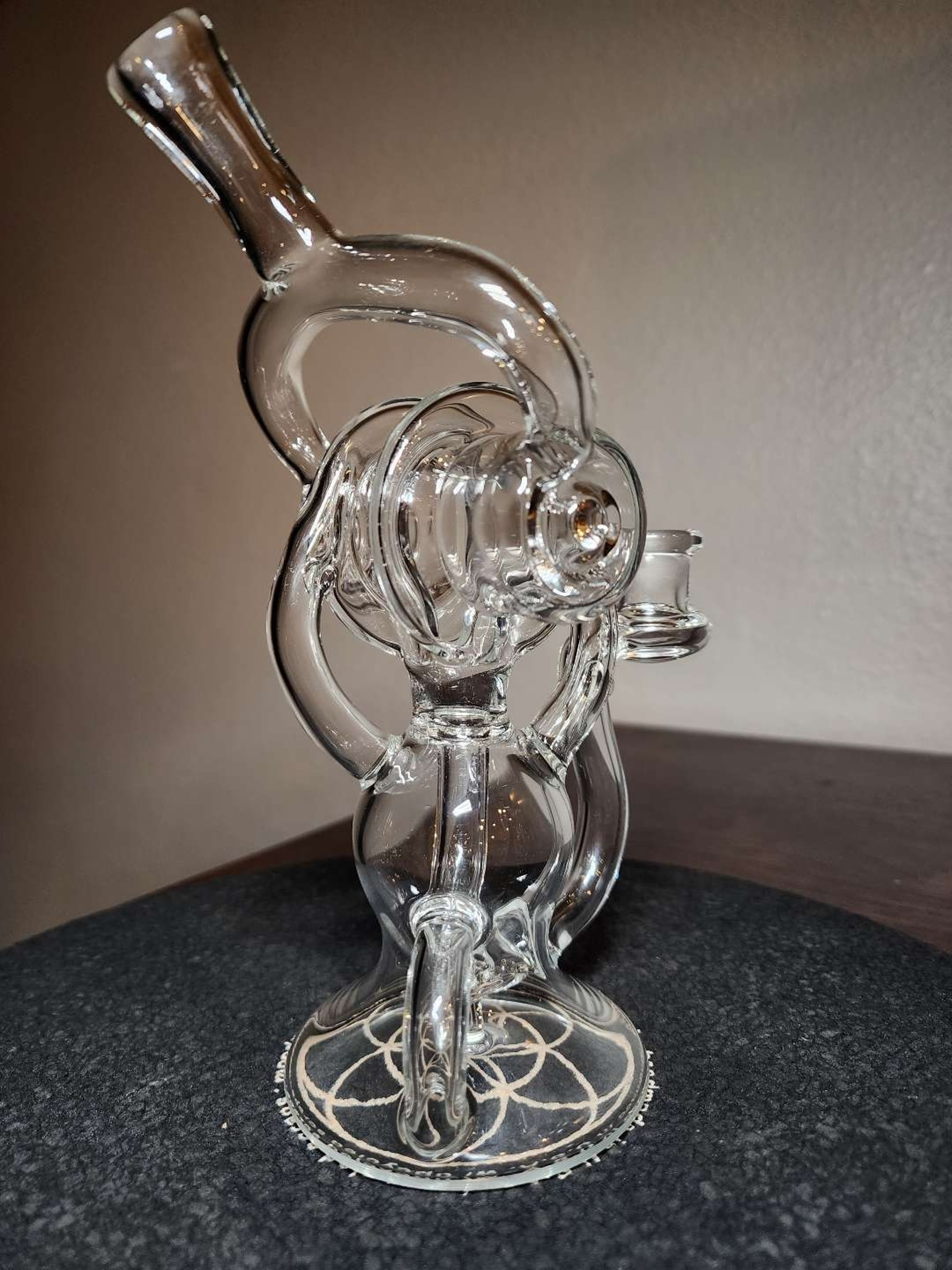 Birdshor Converse image 0