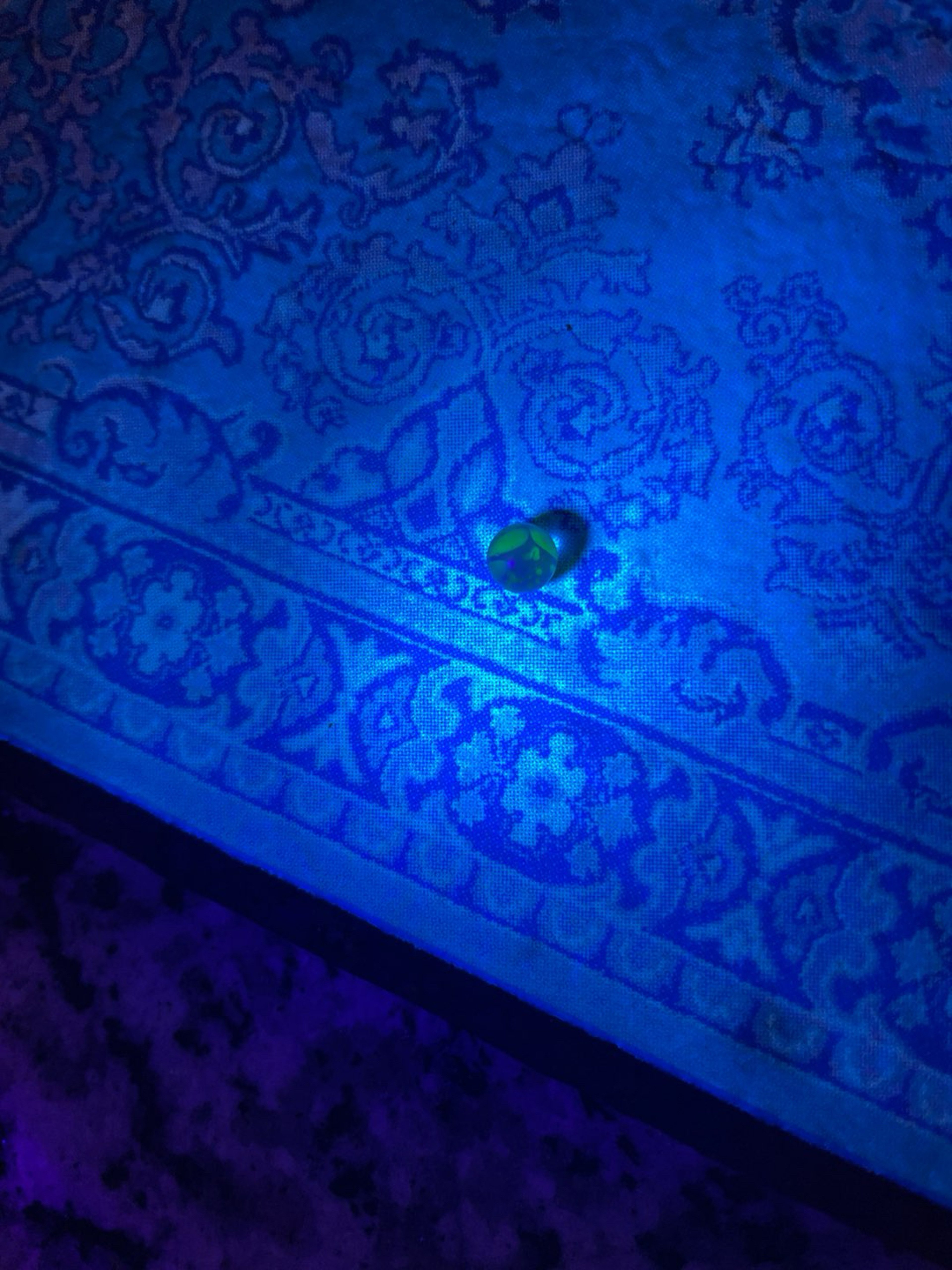 Preview pic of Ginny Snodgrass UV Terp Pearl