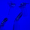 Small image 6