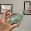 Small image 6