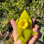 Small image 6
