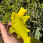 Small image 7