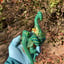 Small image 6