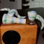 Small image 4
