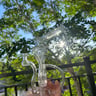 Small image 4