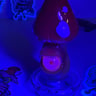 Small image 5