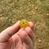 Small image 5