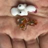 Small image 0