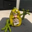 Small image 1