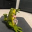 Small image 6