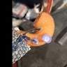Small image 2