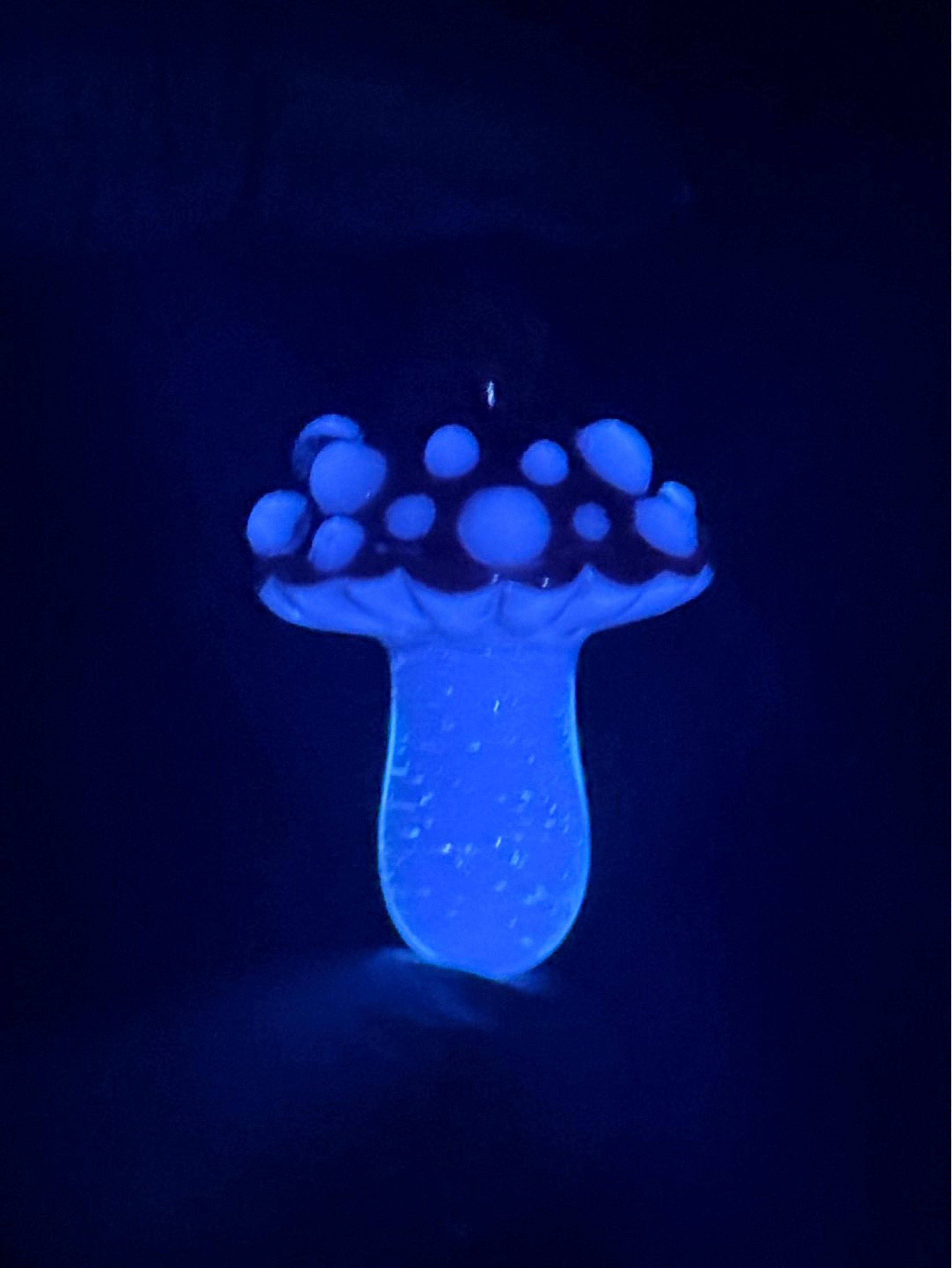 Preview pic of Mushroom and butt plug pendant