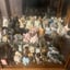 Small image 6