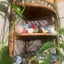 Small image 8