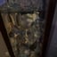 Small image 9