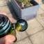 Small image 4