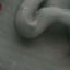 Small image 8