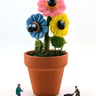 Small image 0