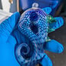 Small image 2