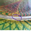 Small image 9