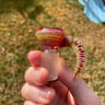 Small image 1