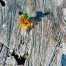Small image 3